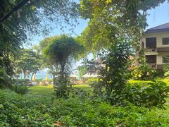 -卷心菜和避孕套餐厅(Pattaya)