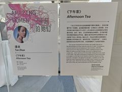 -凤凰中心
