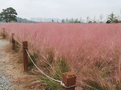 -汉长安城未央宫国家考古遗址公园