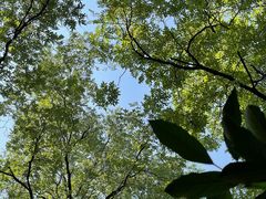 -魏家凉皮(博水商务大厦店)