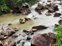 -广州白江湖森林公园