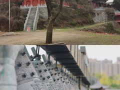 -千年银杏谷文化旅游区