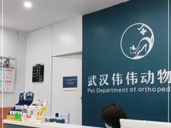 -伟伟宠物医院·CT影像中心·瑞派犬猫综合性门诊(汉口总院)