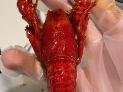 -长沙文和友(海信广场店)