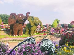 -迪拜沙漠冲沙