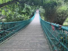 -南宁良凤江国家森林公园