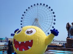 -秦皇岛乐岛海洋王国