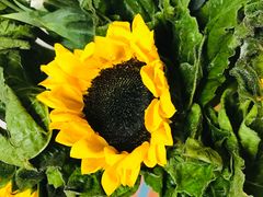 -昆明国际花卉拍卖交易中心