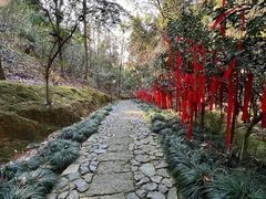 -梦姑塘文化公园