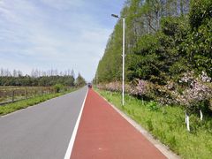 -上海长兴岛郊野公园