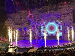 -广州长隆国际大马戏