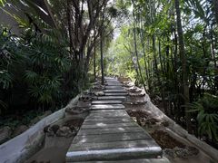 -普吉岛凯悦酒店