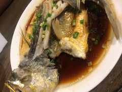 南海大黄花鱼-鲜小岛·铜锅涮肉