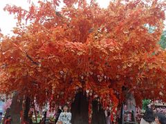 -郑州方特梦幻王国