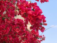 -中国建设银行(成都双林支行)