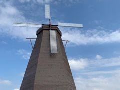 -漩门湾国家湿地公园