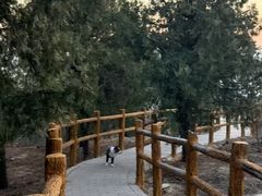 -白水寺森林公园