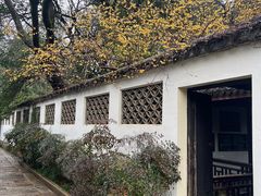 -惠山古镇·寄畅园