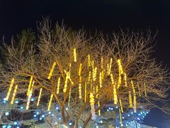-二一九公园