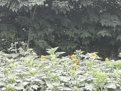 -盘龙城遗址博物院