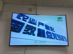 -顶巧鸡汤馄饨(虹口总店)
