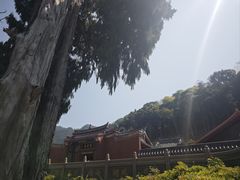 -灵光寺