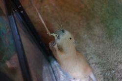 -酷嗒动物文化乐园(cutezoo西溪乐天城店)