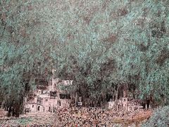 -中华艺术宫(上海美术馆)