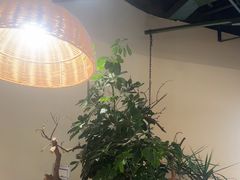 -山缓缓火锅(青岛万象城店)