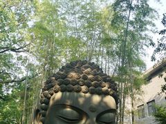 -杭州植物园