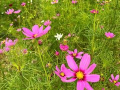 -光明小镇欢乐田园