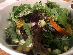 -百好乐宠物友好餐厅(朝外大街店)