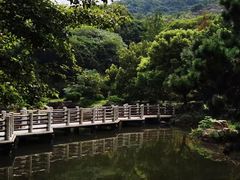 -白马涧龙池景区