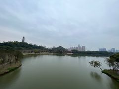 -顺峰山公园