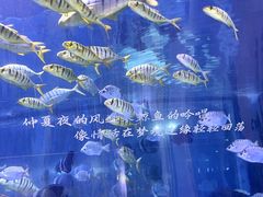 -重庆欢乐海底世界