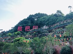 -枇杷园食为鲜火锅(南山店)