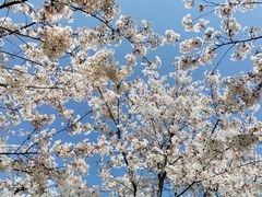 -幕燕滨江·长江观音景区