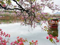 -星湖旅游景区七星岩