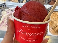 -Patagonia Chocolates(皇后镇店)