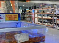 -贝悠悠(华宇时尚店)