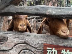 -长鹿旅游休博园