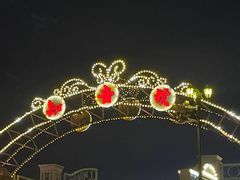 -武汉知音号