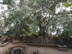 -友谊关景区