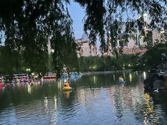 -团结湖公园