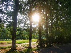 -长白岛森林公园