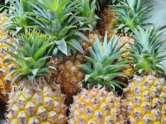 -港华水果街(港华广场店)