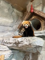 -Zoolung Zoolung动物主题公园(海信广场店)