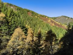 -苏木山森林公园