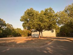 -胜华驾校·小猫学车(银都店)