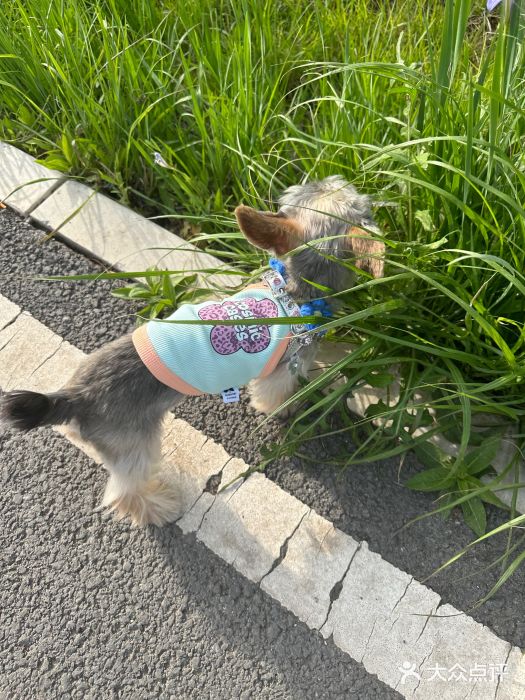 坝河休闲公园图片